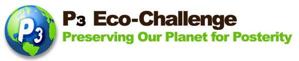 P3 Eco-Challenge logo